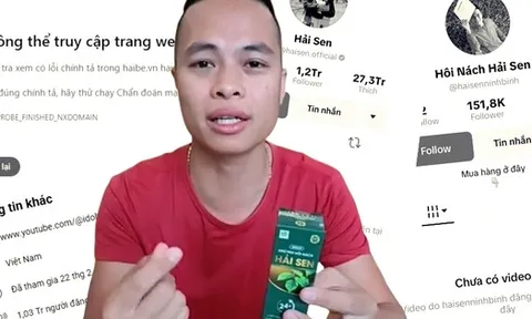 Toàn cảnh "hệ sinh thái” Hải Sen - cỗ máy in tiền trước khi sụp đổ