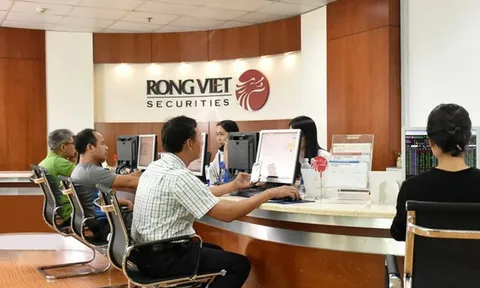 Chứng khoán Rồng Việt chào bán 48 triệu cổ phiếu riêng lẻ, tăng vốn lên 3.200 tỷ đồng