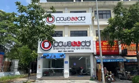 Xe điện POWELLDD tăng trưởng "Thần Tốc" tại Việt Nam: Ra mắt 3 mẫu xe mới và cán mốc 20 cửa hàng trên toàn quốc