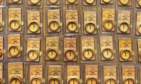 3 ĐIỂM CHUNG của người CÓ VÀNG ở thời điểm này