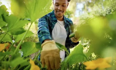 4 loại cây cần được gieo trồng ngay bây giờ