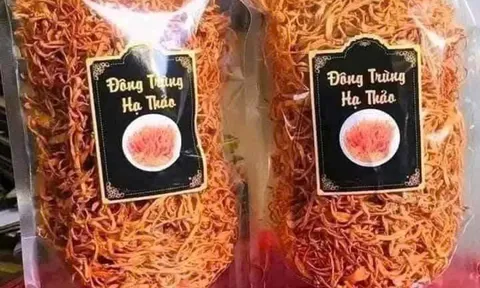 Đông trùng hạ thảo 350.000 đồng/kg: Giá rẻ bất thường, chất lượng khó kiểm soát
