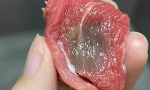 Thịt bò chuyển sang màu xám có phải bị hỏng? Chuyên gia chỉ mẹo xác định độ tươi của thịt bò