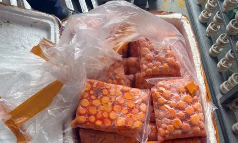 Hà Nội: Thu giữ hơn 12 tấn sụn gà, trứng non nghi nhập lậu