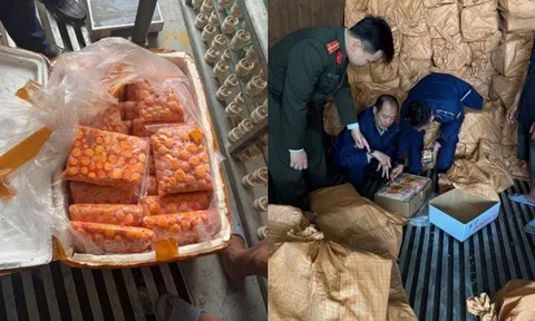 Cận cảnh 12 tấn trứng non, sụn gà... “chữ lạ” nằm la liệt trong 3 xe container đang chờ tuồn ra thị trường tại Hà Nội