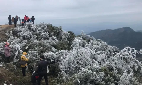 Dự báo thời tiết 1/2: Không khí lạnh dồn dập tràn về miền Bắc, trời rét đậm, rét hại