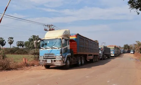 Chờ hướng dẫn Nghị định 46, hơn 1.300 xe nông sản ách tắc tại cửa khẩu