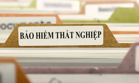 Bảo hiểm thất nghiệp có 10 thủ tục mới, người lao động làm sai là… CHẬM TIỀN