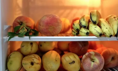 90% gia đình đang bảo quản trái cây sai cách, hỏng nhanh mà không hề hay biết