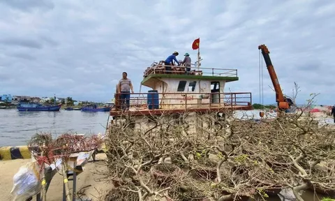 Tàu thuyền hối hả "chở Tết" ra đảo Lý Sơn