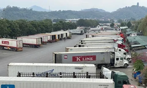 Bộ Y tế chính thức đề xuất tạm dừng Nghị định 46 và Nghị quyết 66.13/2026 của Chính phủ