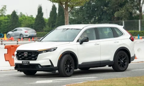 Thêm xe hybrid được giảm giá tại Việt Nam