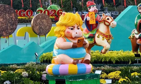 Linh vật ngựa cầm iPhone “gây bão” ở Quy Nhơn: Tác giả lý giải điều bất ngờ