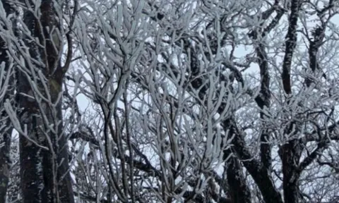 Dự báo thời tiết 10/2: Khi nào miền Bắc chấm dứt rét đậm?