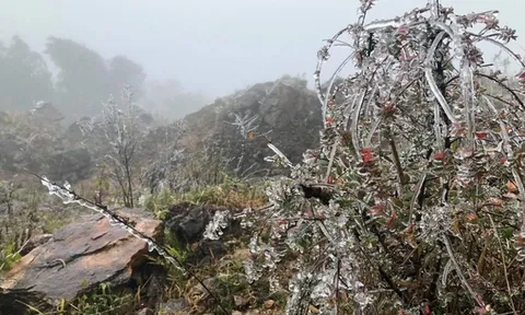 Không khí lạnh tăng cường dồn dập, miền Bắc rét sâu và sương mù dày đặc