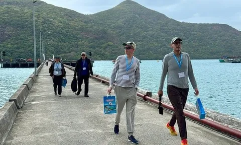 Côn Đảo đón chuyến tàu du lịch quốc tế đầu tiên năm 2026