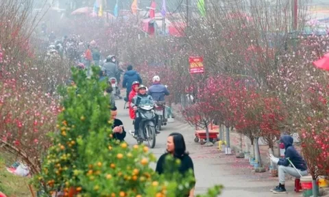 Miền Bắc sẽ đón đợt không khí lạnh mới vào đúng đêm Giao thừa