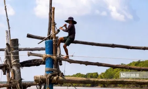 Theo chân ngư dân Đất Mũi mưu sinh bằng nghề đóng đáy