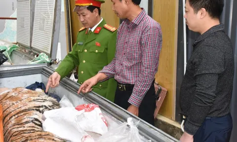 Bắt tạm giam, kiểm tra nơi ở của Hoàng Đình Đạt