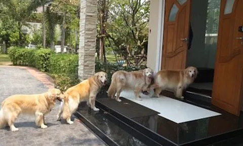 Cận Tết 2026: Nhà có 6 điều này báo hiệu điềm lành, vận khí khởi sắc