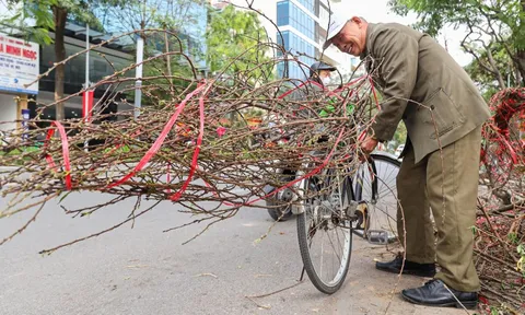 Dự báo thời tiết 29 Tết: Miền Bắc nắng đến 28°C trước khi đón không khí lạnh