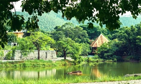 Đại gia chi tiền khủng mua mảnh đất rộng 30.000m2 để xây “công trình để đời”: Hơn 20 năm vẫn chưa hoàn thành