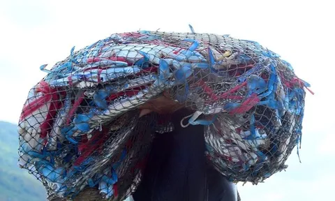 Sản vật biển của Việt Nam tạo "cơn sốt" tại Mỹ, đơn hàng áp đảo thị trường