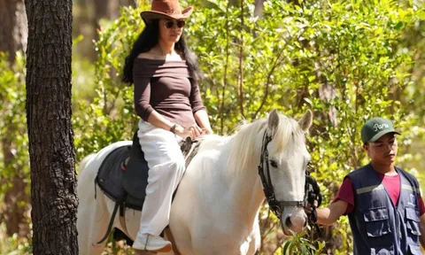 Trải nghiệm cưỡi ngựa giữa rừng già Măng Đen