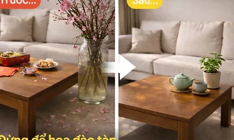 Mùng 5 Tết: Đừng để hoa đào tàn làm nhà nặng năng lượng