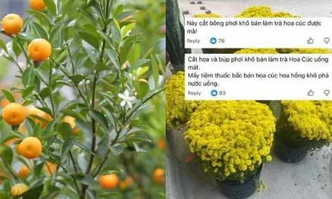 Chớ dại mà tận dụng những thứ này sau Tết kẻo ngộ độc, rước họa vào thân