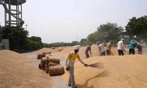 Đối thủ gạo lớn nhất của Việt Nam đón cú sốc đầu năm