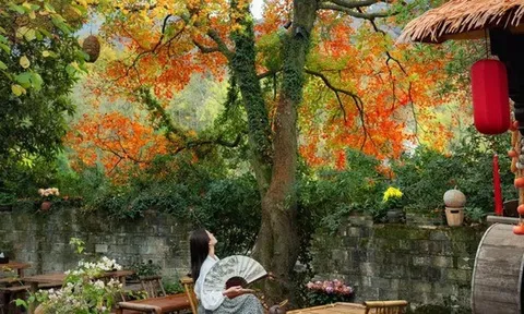 Dù giàu hay nghèo, trước khi trồng cây trong sân hãy nhớ 3 điều nên làm - 4 điều tuyệt đối tránh để khỏi “rước” rắc rối về nhà