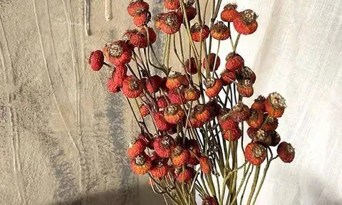 Tháng Giêng giữ 4 thứ này trong nhà: Xui xẻo đủ đường, tài lộc công danh bị chặn đứng