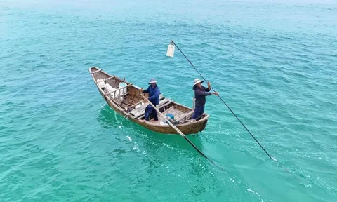 Ra khơi khai thác "lộc biển" từ 2 giờ sáng, ngư dân "đút túi" tiền triệu mỗi chuyến