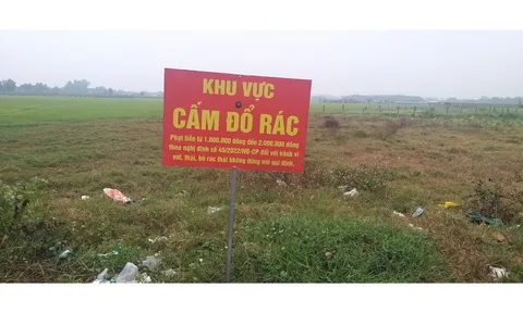 Truy vết người đổ trộm rác