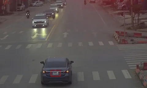 248 chủ phương tiện vi phạm mang biển số sau nhanh chóng nộp phạt nguội theo Nghị định 168