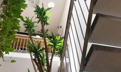 Ông bà dặn: Nhà có 4 dấu hiệu này đừng bao giờ bán, càng ở càng giàu, con cháu tha hồ hưởng lợi