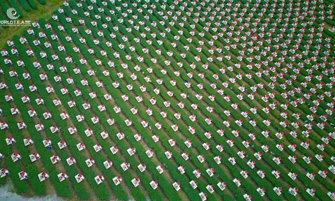 Đôi Dép - Khi con đường không có đèn đỏ