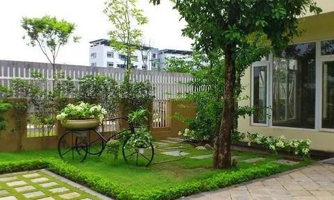 5 loại cây đừng trồng trước cửa nhà