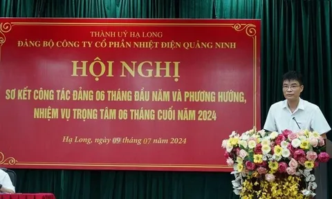 Vai trò của ông Lê Việt Cường tại Nhiệt điện Quảng Ninh trước khi bị khởi tố