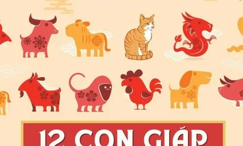 Năm 2026: 3 con giáp được dự báo sẽ mang lại vận may tài chính cho cả nhà