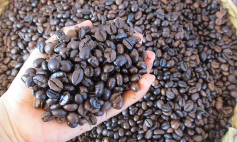 Giá cà phê hôm nay 6-3: Tăng tiếp, giá cà phê xuất khẩu vẫn hơn 4.000 USD/tấn