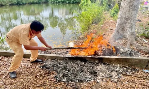 Tây Ninh tiêu hủy hơn 70.000 phôi đăng ký xe
