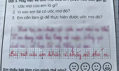 Viết 2 câu về ƯỚC MƠ không giống ai, cậu bé TP.HCM được cô giáo khen nức nở: Cô thấy rất thú vị!