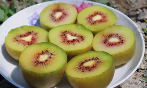 Loại quả được gọi là "trái cây ngủ", ăn một vài miếng mỗi ngày có thể giúp bạn ngủ ngon giấc đến tận sáng, chợ Việt bán rất nhiều