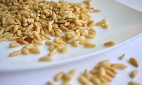 Loại hạt “tí hon” nhưng là “gã khổng lồ” dinh dưỡng, tốt cho tim mạch, chống lão hóa và bảo vệ mắt, ở Việt Nam rụng đầy gốc nhưng ít ai ăn