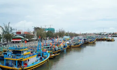 Bến cá Phan Thiết đìu hiu, tàu cá dè dặt ra khơi vì nhiên liệu tăng giá