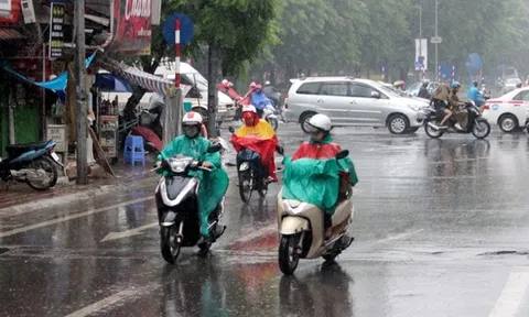 Dự báo thời tiết 11/3: Miền Bắc dồn dập đón đợt không khí lạnh mạnh, trời mưa rét, nơi thấp nhất dưới 11 độ