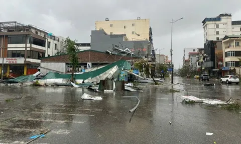 Bão Yagi bị xóa tên, thay bằng Tomo