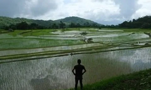 'Ông trùm' xuất khẩu gạo lớn nhất thế giới tiếp tục đón sóng gió